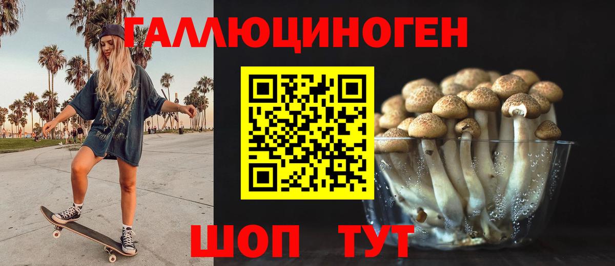 Галлюциногенные грибы Cubensis  Вход с VPN  Самара  Галлюциногенные грибы прущие грибы 