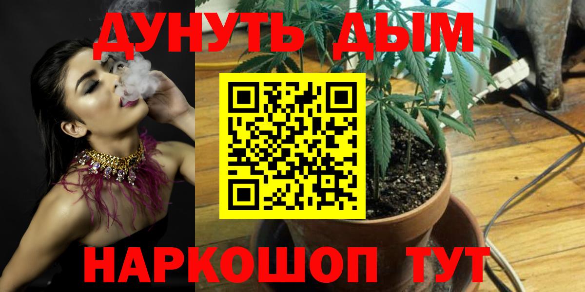 Конопля план Самара
